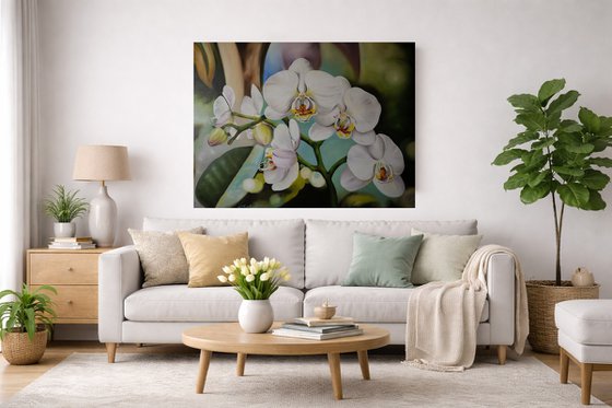White Orchids Floral