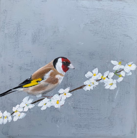 Goldfinch On Cherry Blossom