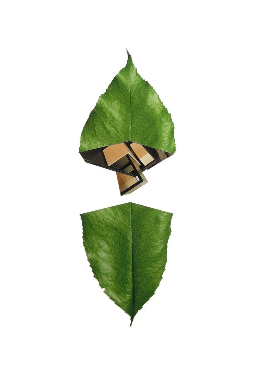 Botanical Collage By Benjamin West, 12 X 17, Leaf 1, Original Artwork