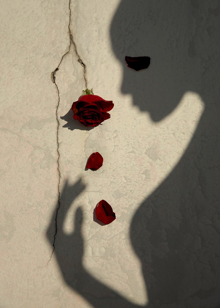 Surrealistic Botanical Photograph By Xidong Luo, 20 X 28", A Rose Through The Crack #1, Original Artwork