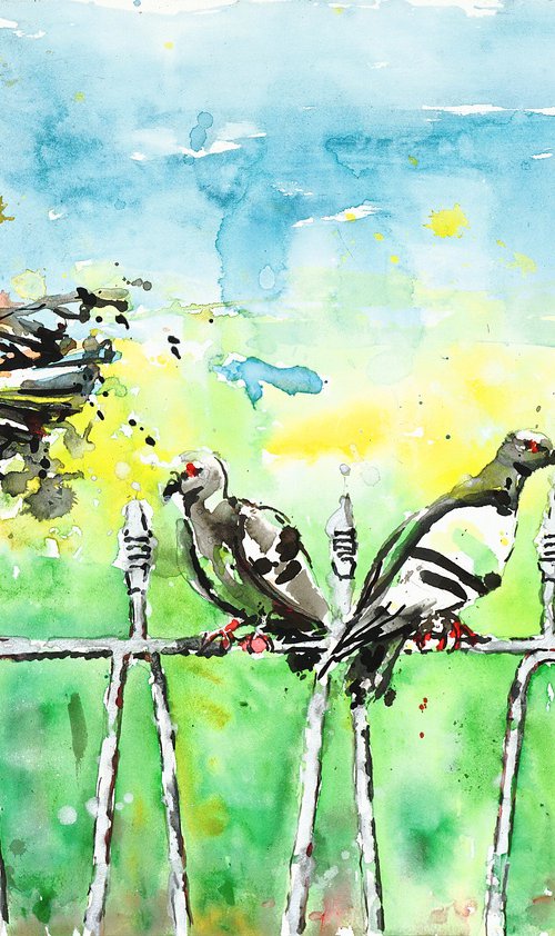 Pigeons by Gordon T.