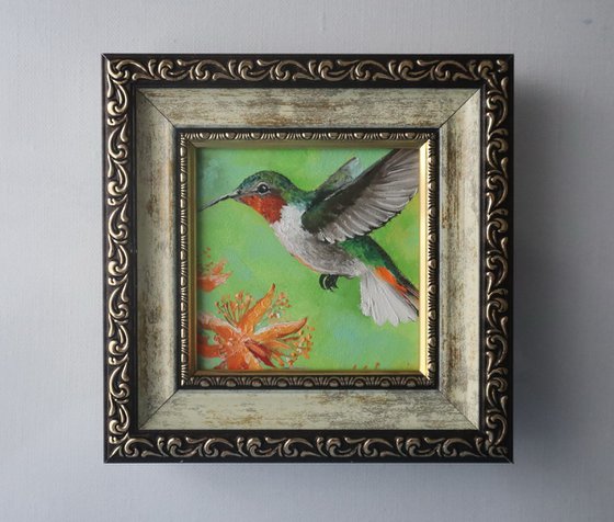 bird