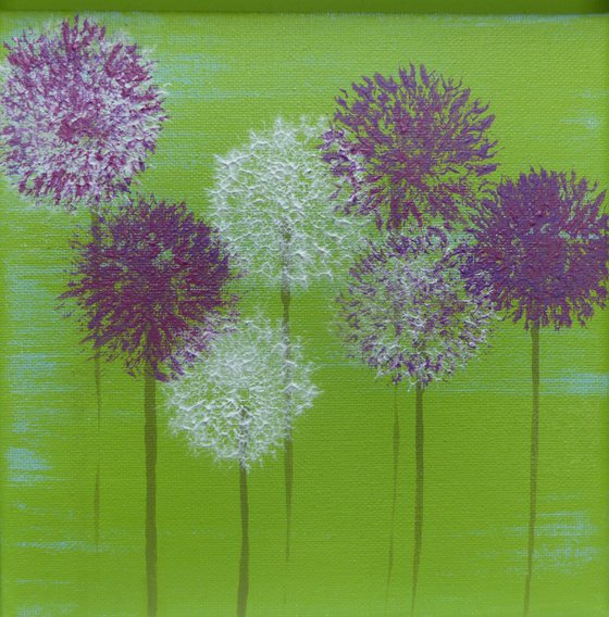 Alliums on green