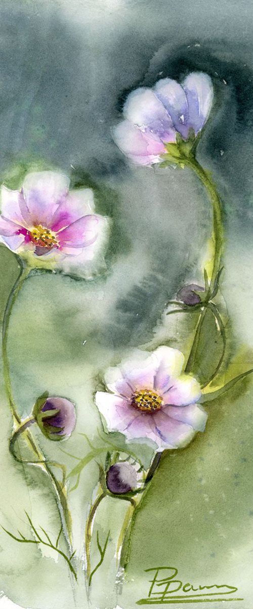 Cosmos flowers by Olga Tchefranov (Shefranov)