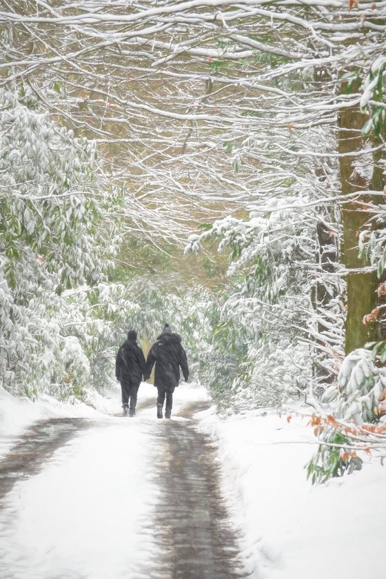 A walk in the Snow