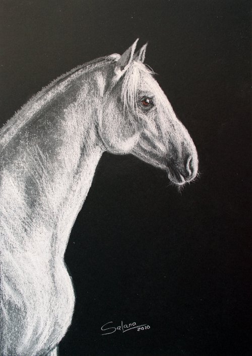Horse V / Original Painting by Salana Art Gallery