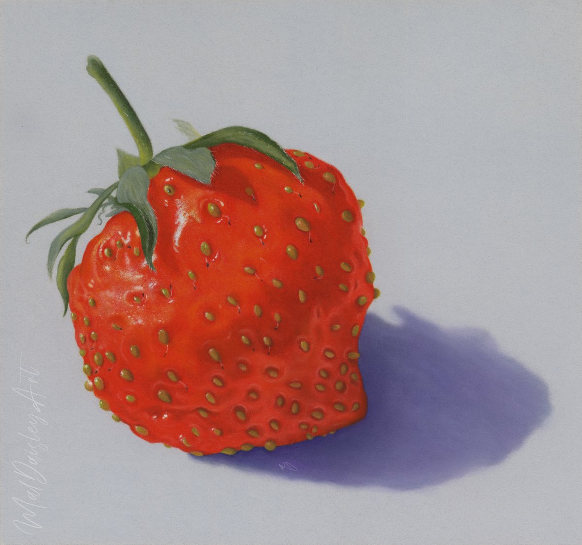 Strawberry Shadow by Mal Daisley
