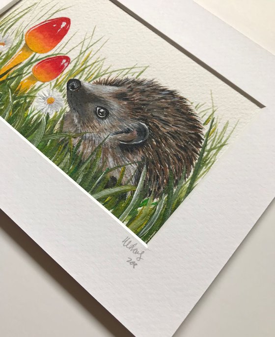 Little hedgey