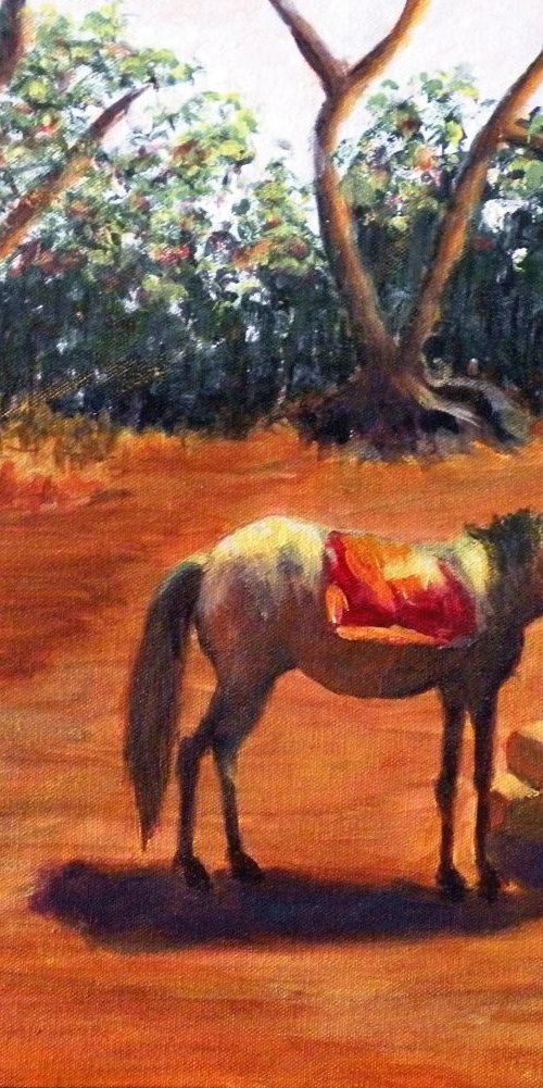 Horse in Matheran by Uma  Krishnamoorthy