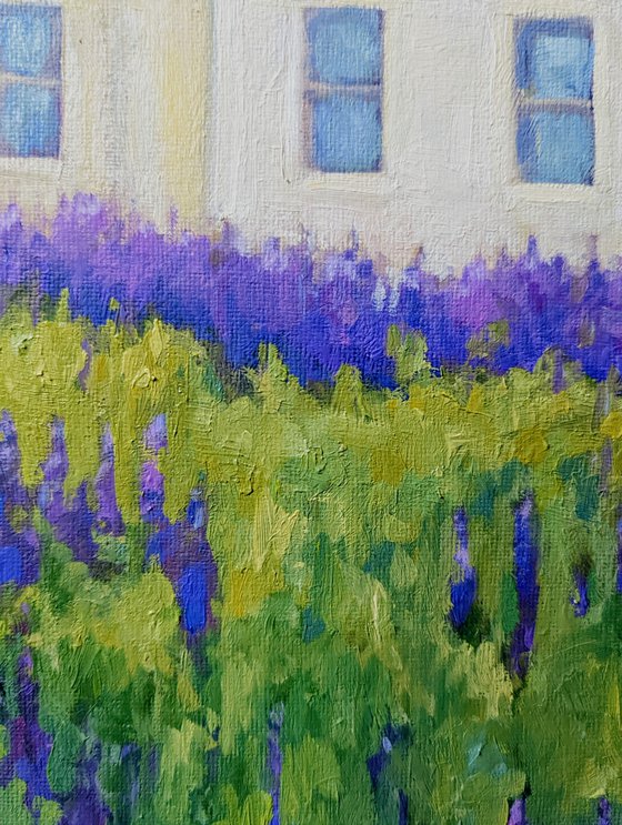 June Morning with Lupines