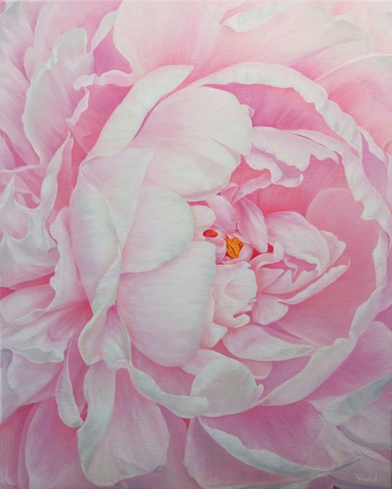 Divine Peony