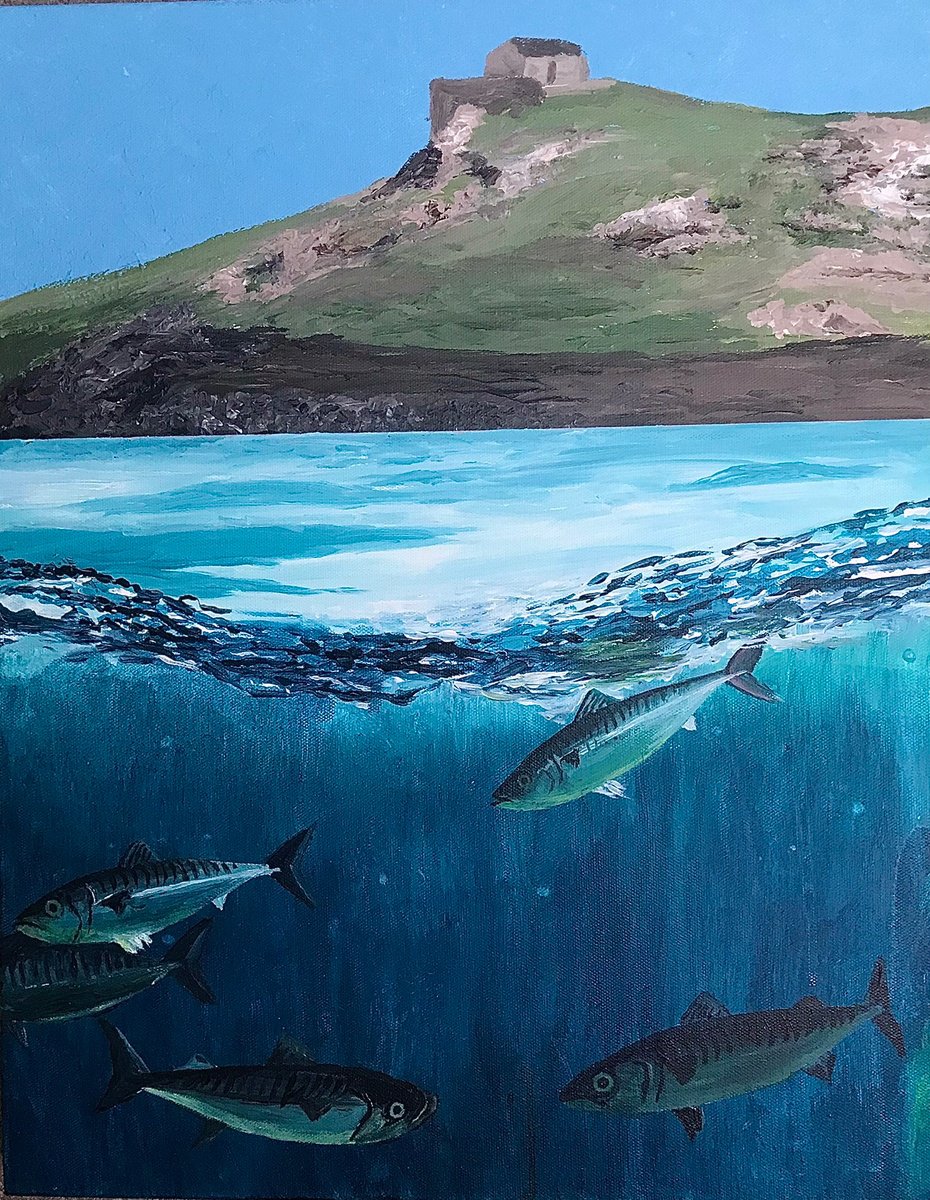  Mackerel At Porthmeor By Jackie Ward, 16 X 20, Artwork For Sale On Artfinder
