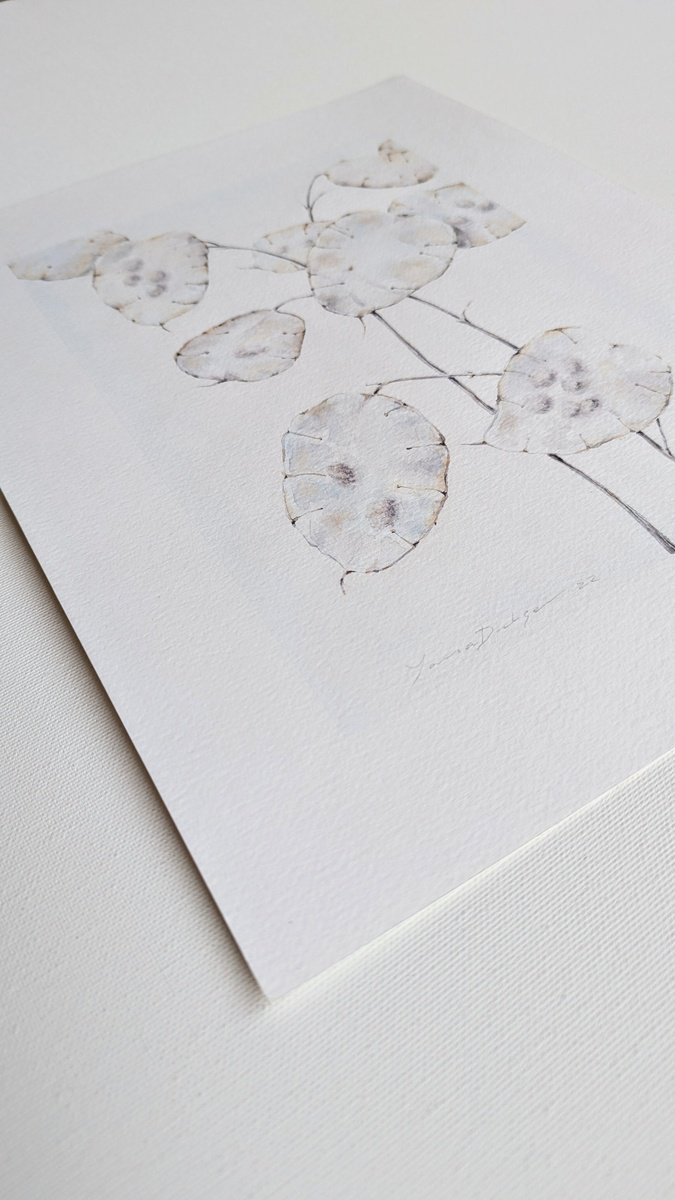Illustrative Botanical Watercolour By Yana Dulger, 13 X 17", Lunaria, Original Artwork