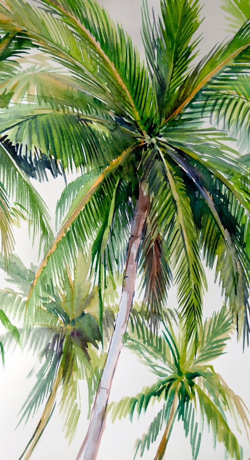 Coconut Palm Trees by Suren Nersisyan