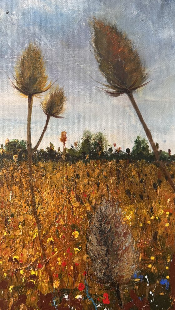 Stormy Teasel Field Swallows