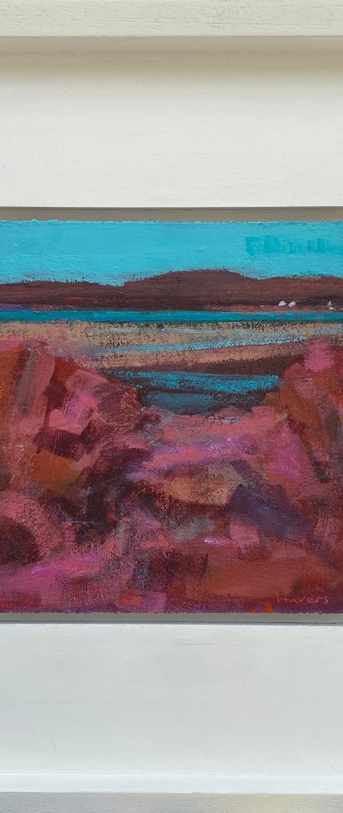 Roseate Shore by Chrissie Havers