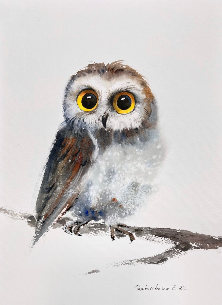 Little owl on a branch #11 by Eugenia Gorbacheva