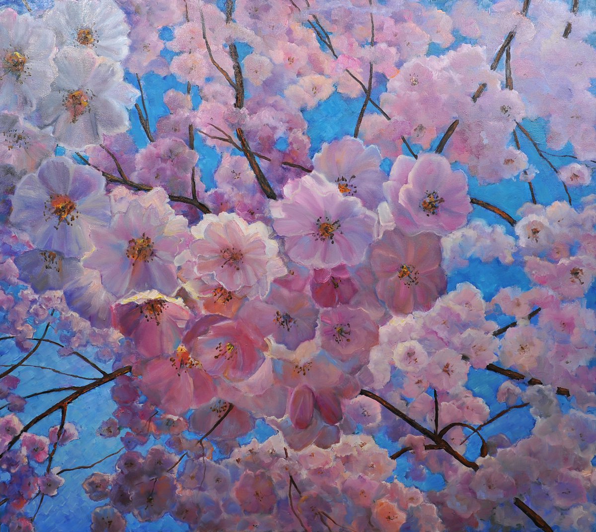 Cherry blossoms by Irina Tolstikova