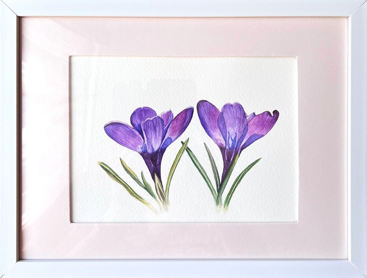 Illustrative Botanical Watercolour By Tetiana Kovalova, 10 X 8", Crocuses, Original Artwork