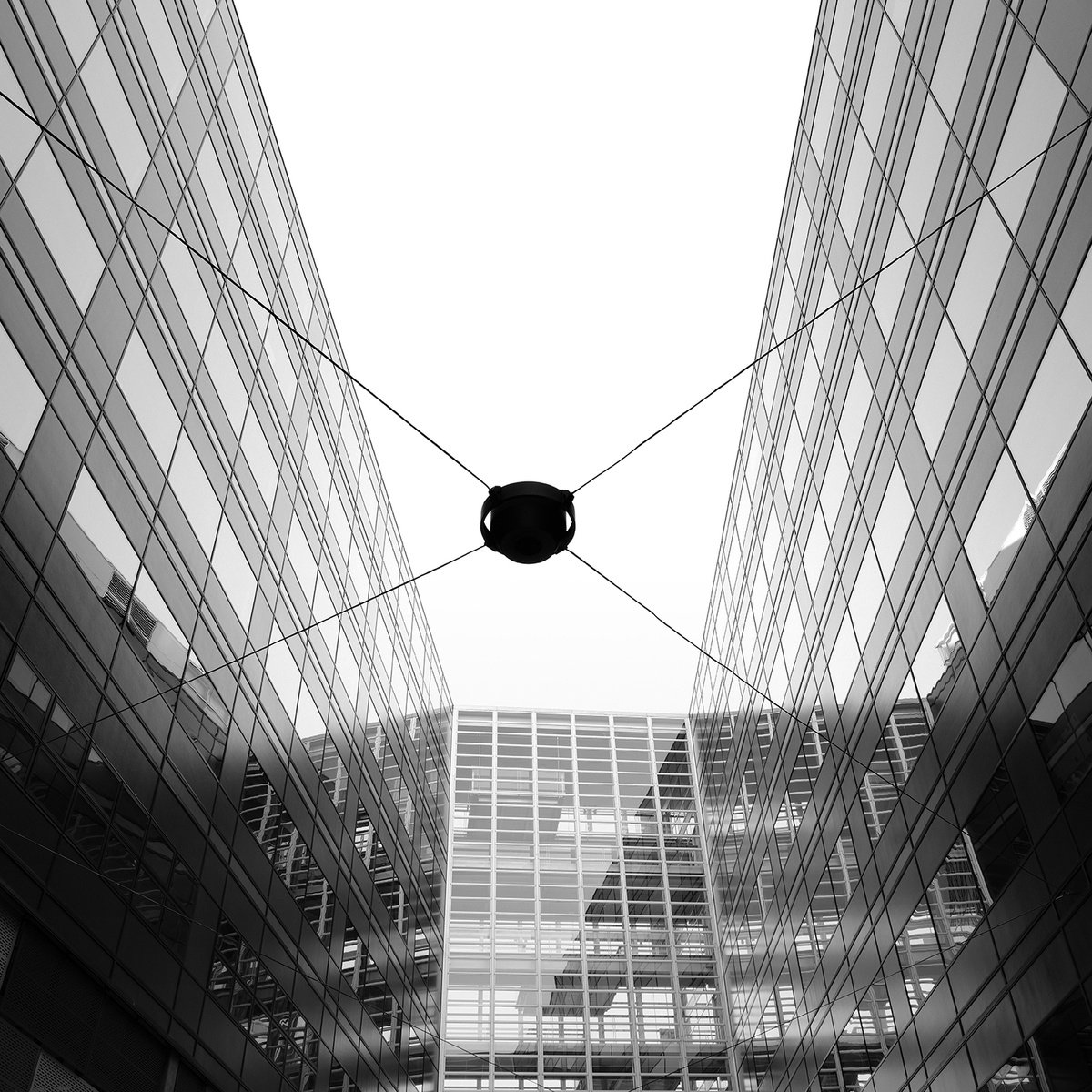 Photorealistic Abstract Photograph By Nick Psomiadis, 35 X 35", Inform, Original Artwork