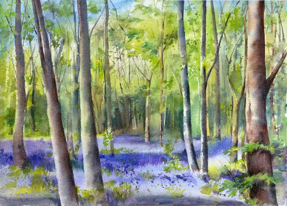 Bluebell Wood, Original watercolour painting