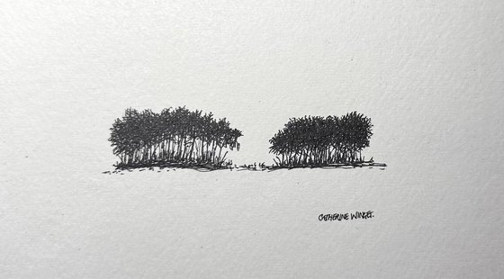 Trees in Pen and Ink - Norfolk Landscape English Countryside