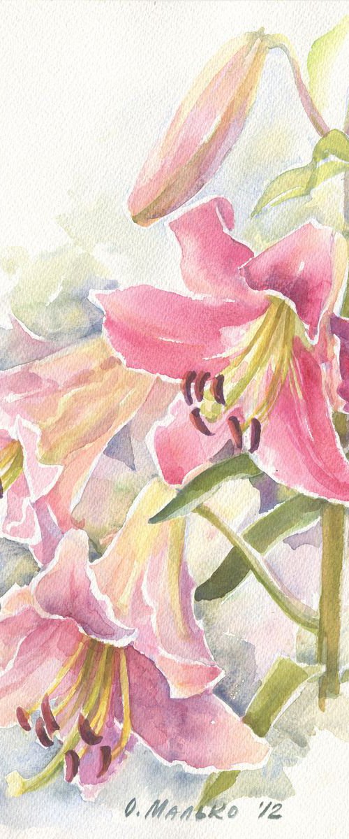 Pink lily / ORIGINAL watercolor 11x15in (28x38cm) by Olha Malko