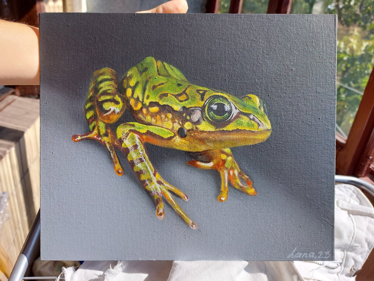 Realistic Frog Artworks & Paintings For Sale