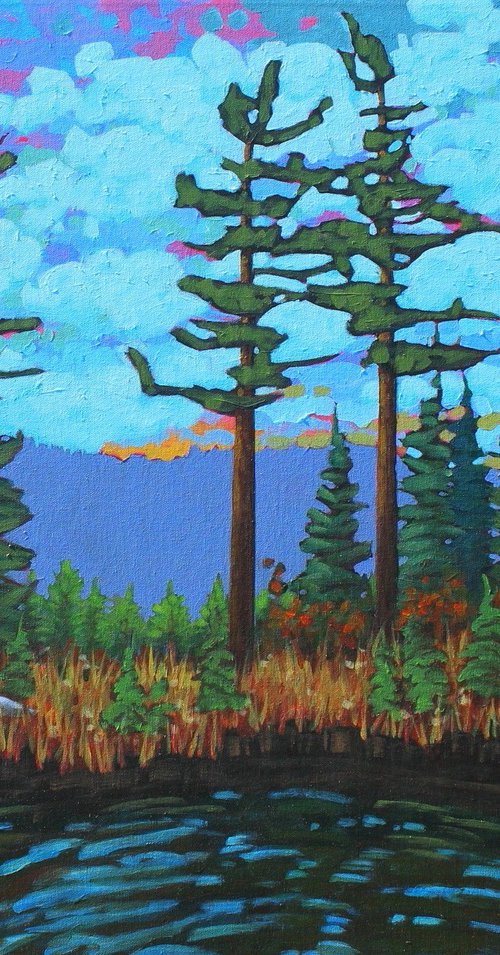 A Day in the Wilderness by Sage Mountain Studio