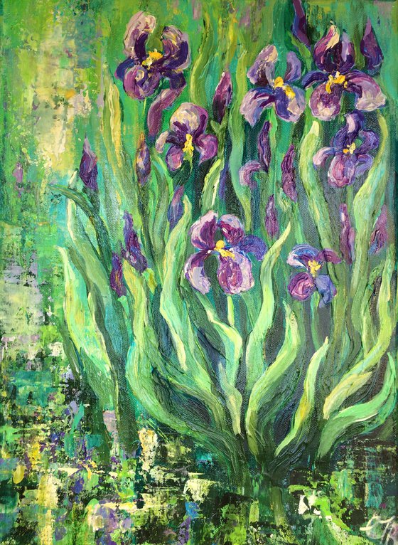 Purple Irises