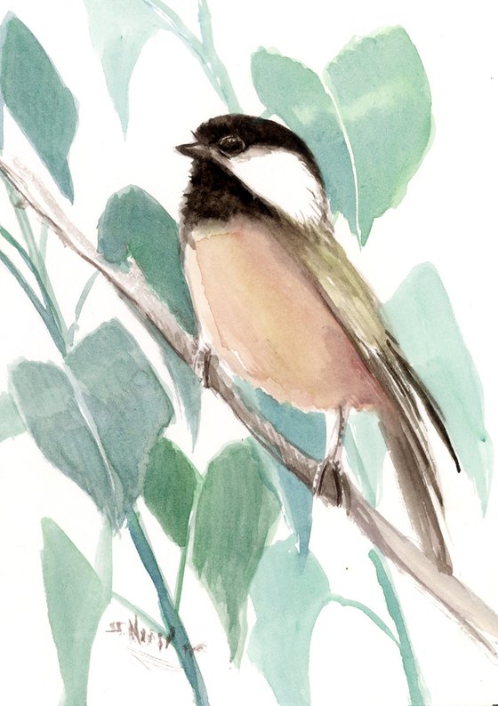 Chickadee