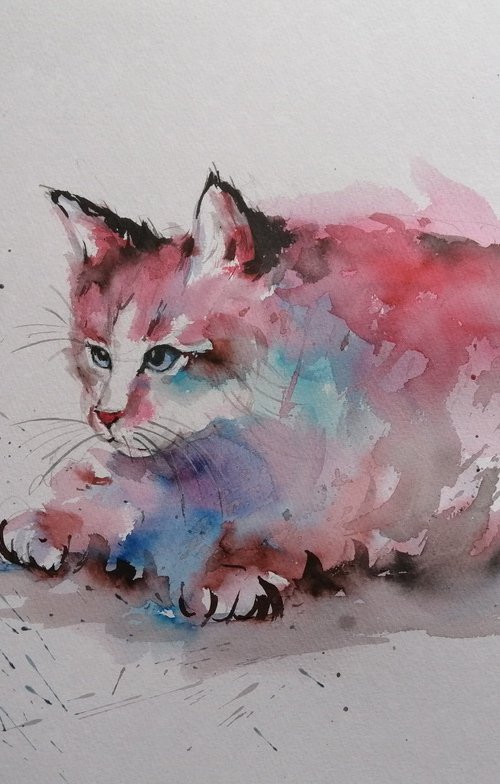 cat 16 by Giorgio Gosti