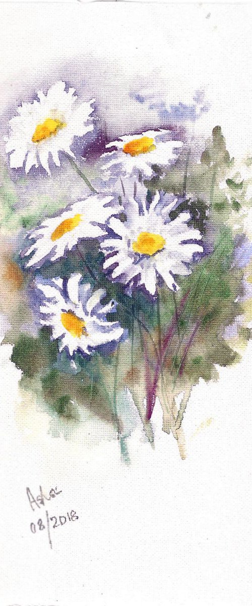 Dainty Daisies by Asha Shenoy