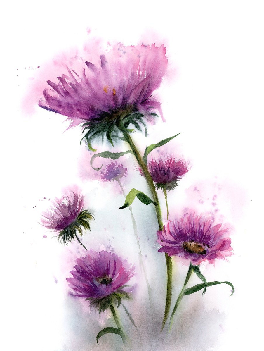 Expressive Botanical Watercolour By Olga Tchefranov (Shefranov), 11 X 15", Thistle Flowers, Original Artwork