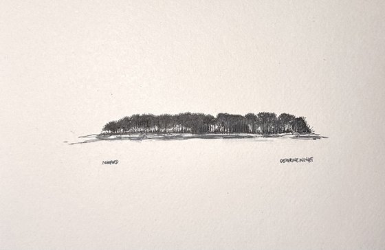 Trees in Pen and Ink - Norfolk Landscape