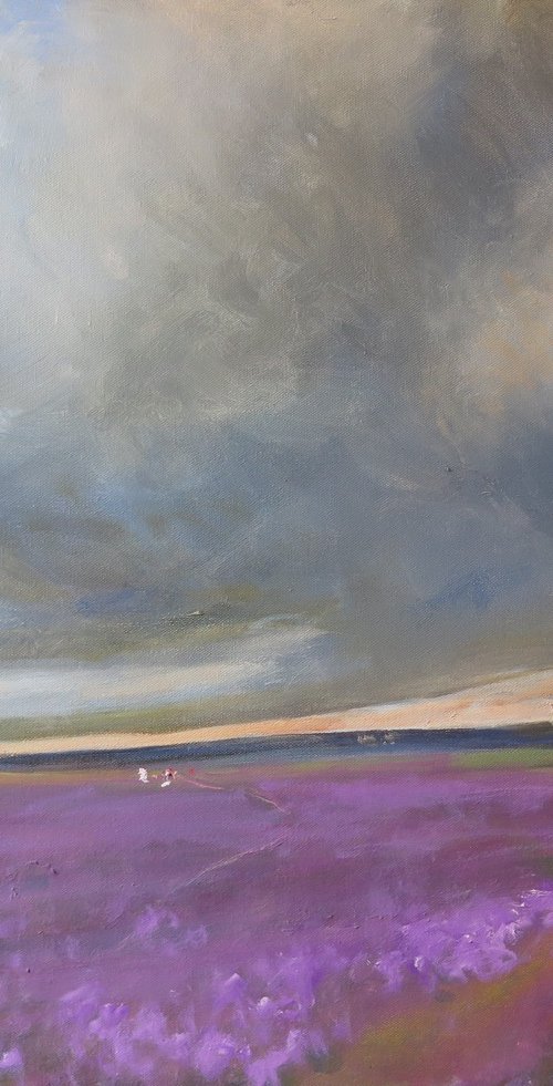 Goathland Heather by Malcolm Ludvigsen