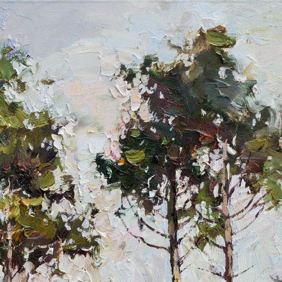 Spring forest -  Original landscape painting