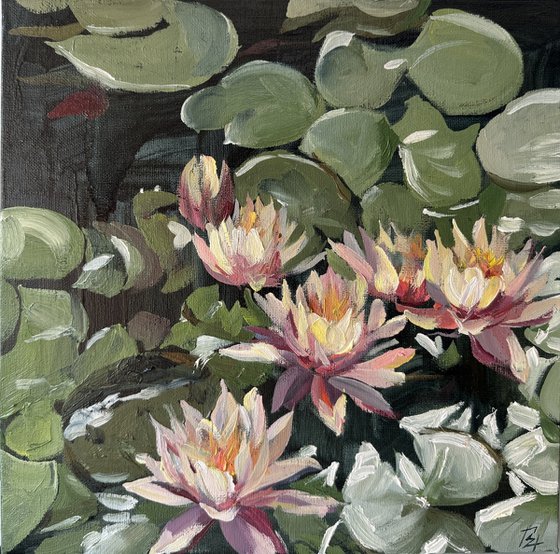 Lotus