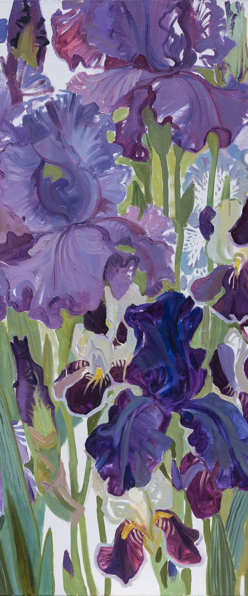 Irises. Blue. by Liudmyla Korzh-Radko