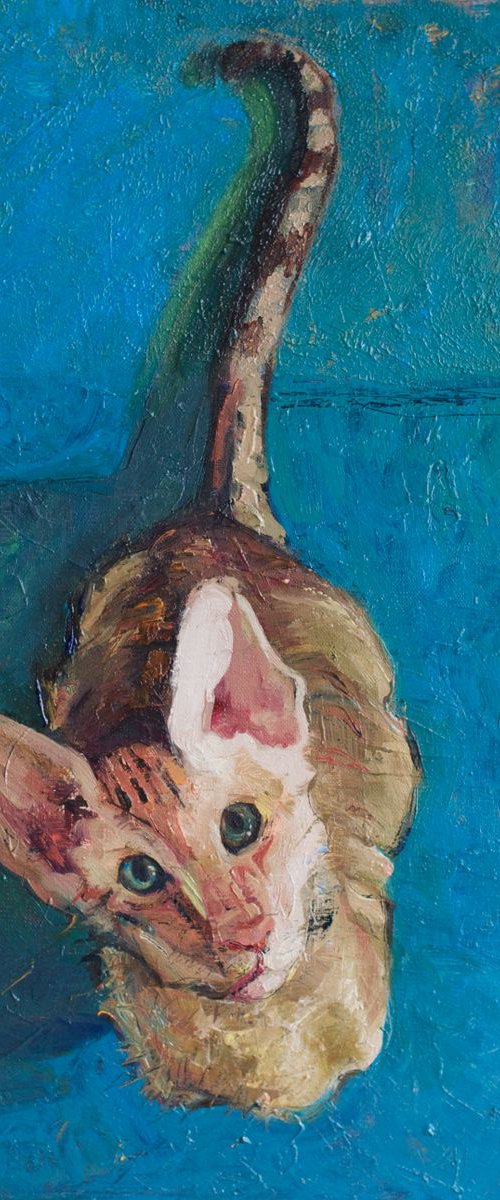 Van Gogh Cat by Marina Skepner