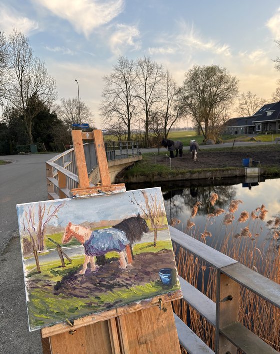 Grazing Horses in the Dutch Countryside