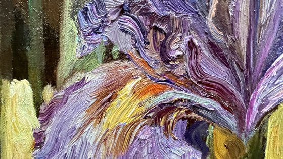 When the irises were big