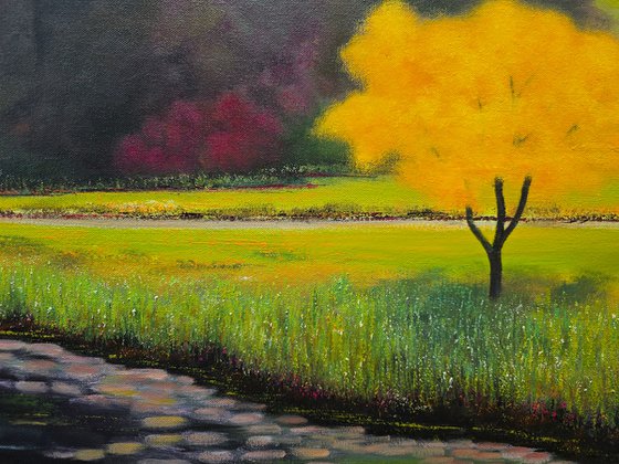 In the Quiet Light