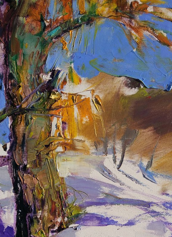 Sunny winter landscape