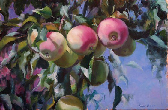 "Apples in the garden"