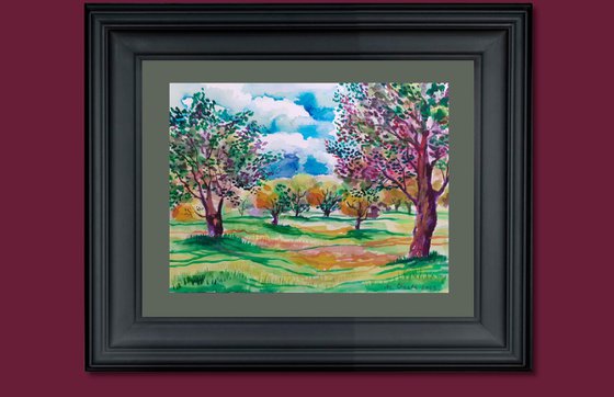 Olive grove with turquois clouds