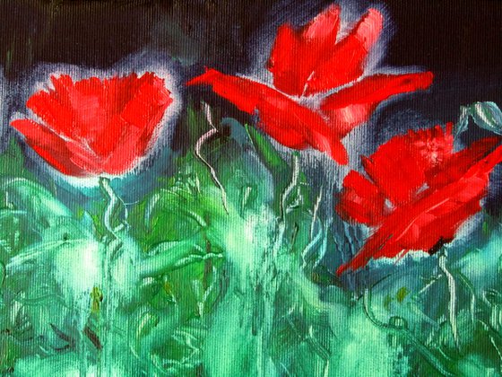 Poppies at night