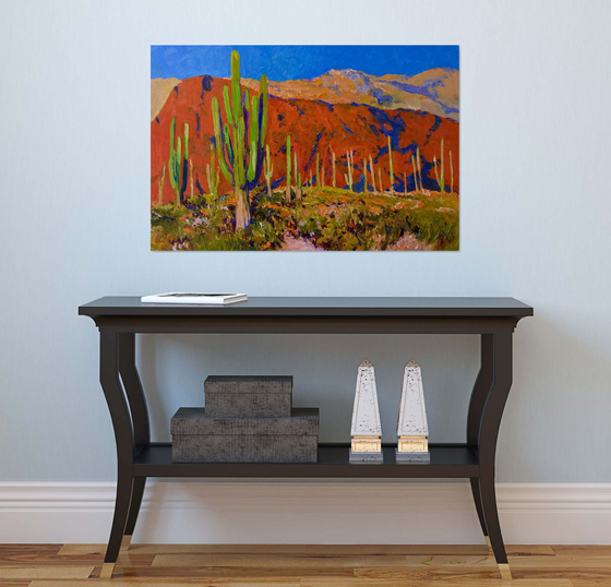 Saguaros and Desert Colors