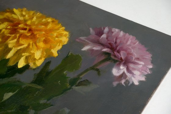 Chrysanthemums