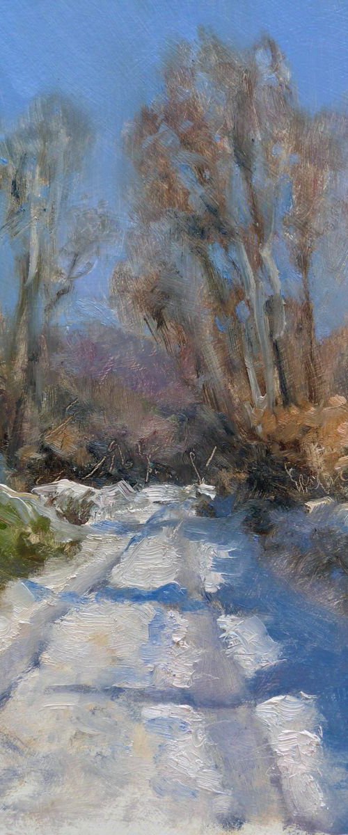 Snowy Path by Pascal Giroud